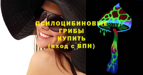 мдпв Барнаул
